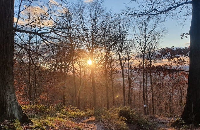 The Morgenrot Trail: How Facing My Deepest Fears Transformed Anxiety into Self-Efficacy