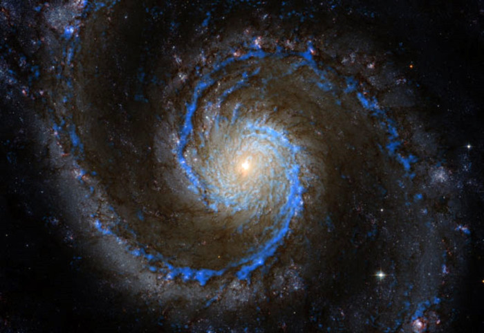 The molecular clouds of galaxy M51 are shown in blue: the material necessary for the formation of new stars. Molecular emission was measured with the IRAM 30m telescope. Source: PAWS Team/IRAM/NASA HST/T. A. Rector (University of Alaska Anchorage)