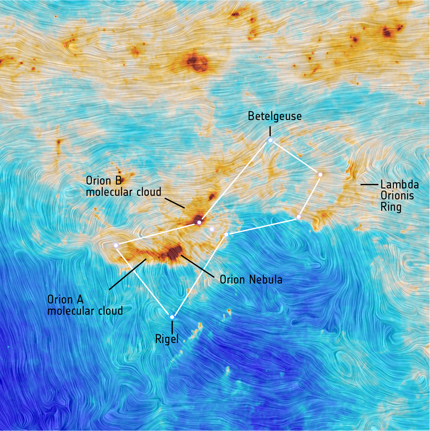 Observations of the Orion molecular complex by the Planck telescope. The lines correspond to the polarization of light. (Credit: ESA and the Planck Collaboration)